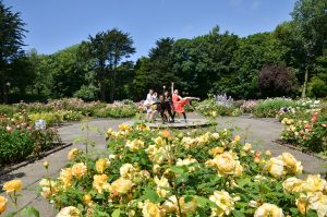 Wordpool Stanley Park 2015