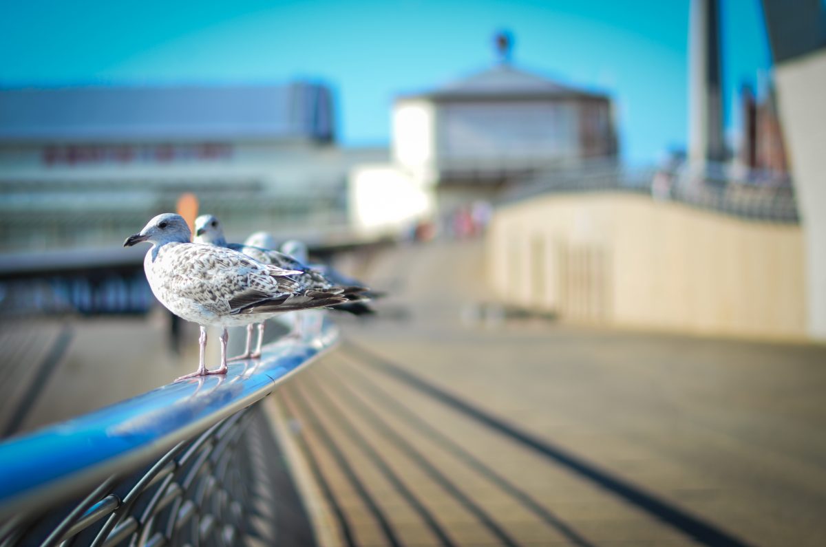 What to do when you are Left Behind