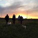 Anchorshound Dog Park