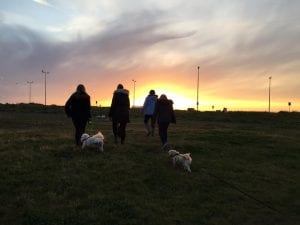Anchorshound Dog Park
