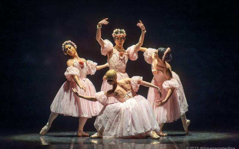 Theatre Preview: Les Ballets Trockadero de Monte Carlo