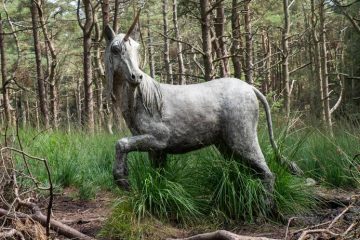 Weird Lancashire: 5 curious corners within easy reach of Blackpool