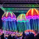Lightpool Festival lights up for it’s 10th birthday