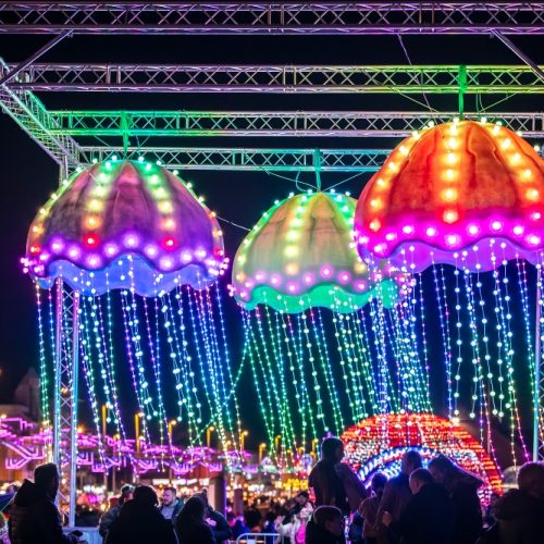 Lightpool Festival lights up for it’s 10th birthday