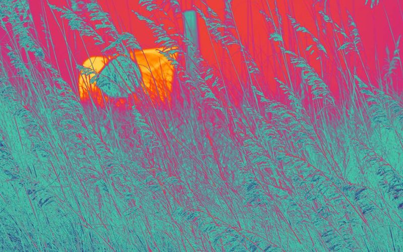 Creative callout: opportunities & commissions for September 2026