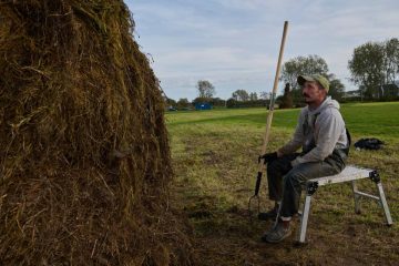‘A myth-making moment’: The artist building giant hay creatures on Mereside