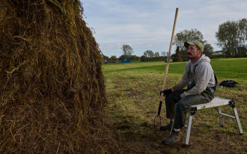 ‘A myth-making moment’: The artist building giant hay creatures on Mereside