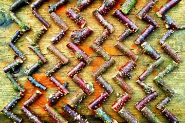 Inspired by Stripes: Green Libraries Week Workshop