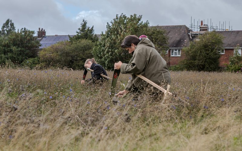 Giant hay creatures to guard Mereside meadow as Lightpool turns 10