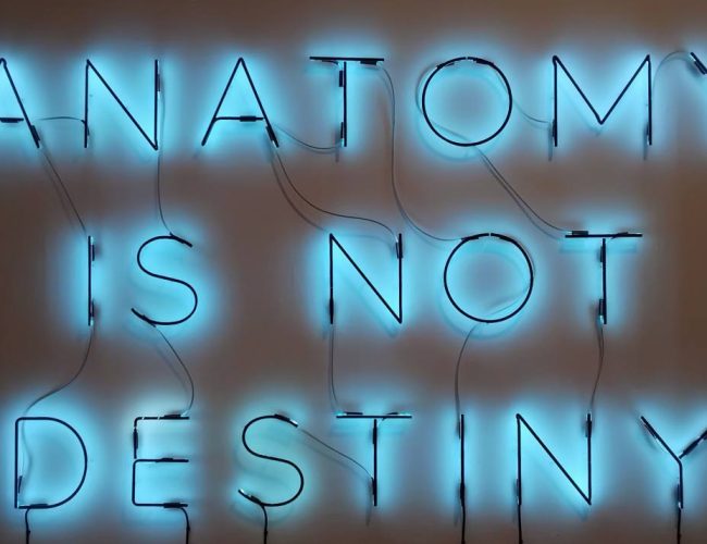 Exhibition Review: Linny Venables – Sweet Factory and All Sweetness and Light